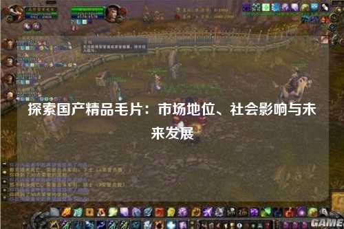 探索国产精品毛片：市场地位、社会影响与未来发展